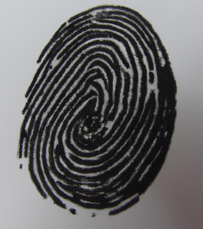 Fingerprint Clue